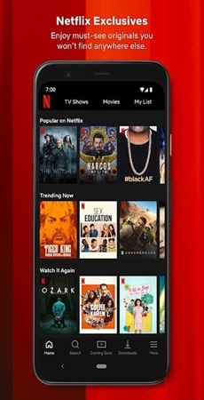 netflix-premium-instalar